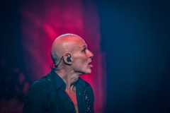 Accept-Symponic-Terror-108