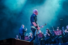 Accept-Symponic-Terror-61