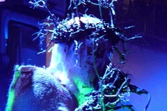 Attila_csihar_live_9_12_07_minehead