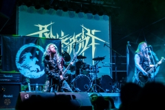 Barkasth-40