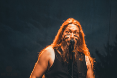 Ensiferum-84