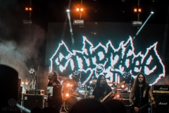 NoveKolo-Day-III-301