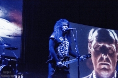 Wasp