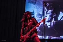 Wasp